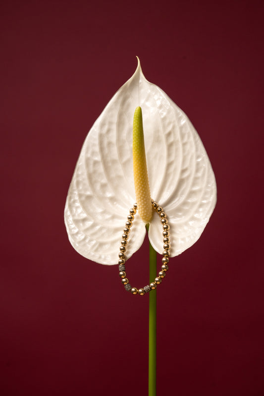 Rondelle Black Diamonds & Gold Beads